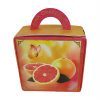 THE ENGLISH SOAP Luxury Shea Butter Soap "Pink Grapefruit"  100g Luxus-Handseife Naturseife - Bio - Geschenk - handgemacht