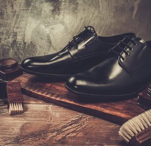 Schuhputzbürsten