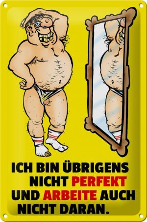 Schild Blech 20x30 cm - Made in Germany - Ich bin übrigens nicht perfekt Metall Deko Schild