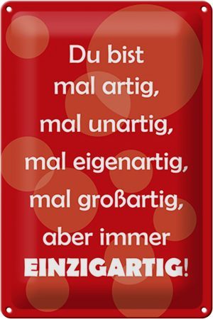 Schild Blech 20x30 cm - Made in Germany - Du bist Einzigartig Metall Deko Schild