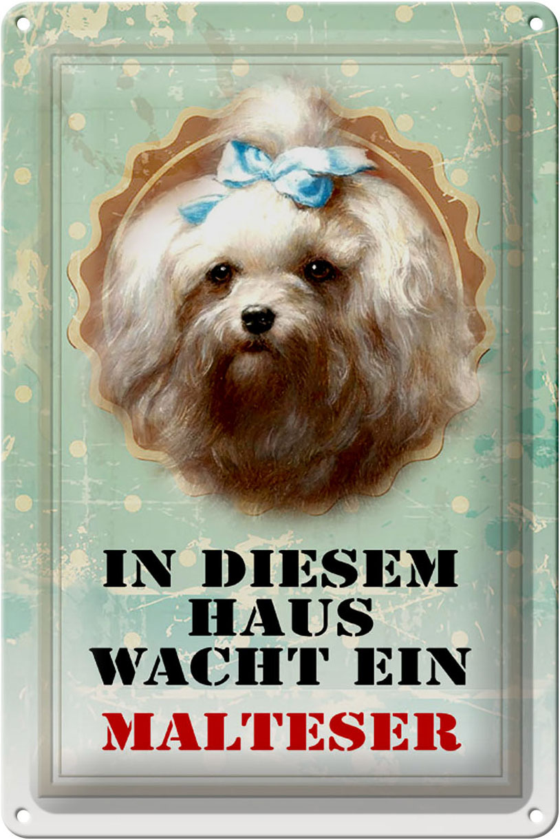 Schild Blech 20x30cm - Made in Germany - Hund in diesem Haus wacht Malteser Metall Deko Blechschild
