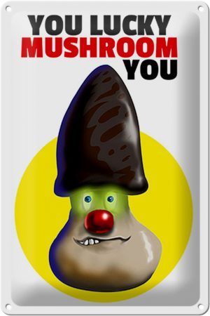 Schild Blech 20x30 cm - Made in Germany - You lucky mushroom you Metall Deko Schild