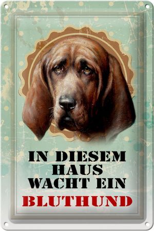 Schild Blech 20x30cm - Made in Germany - Hund in diesem Haus wacht Bluthund Metall Deko Blechschild