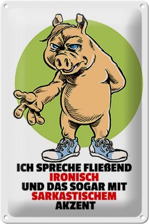 Schild Blech 20x30 cm - Made in Germany - Spreche fließend ironisch Metall Deko Schild