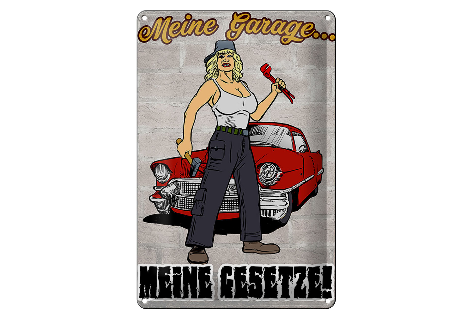 Schild Blech 20x30cm - Made in Germany - Pinup Meine Garage meine Gesetze Metall Deko Schild