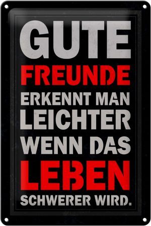 Schild Blech 20x30cm - Made in Germany - Spruch gute Freunde erkennt man Metall Deko Blechschild