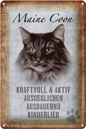 Schild Blech 20x30cm - Made in Germany - Spruch Maine Coon Katze aktiv Metall Deko Schild