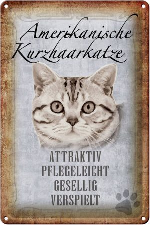 Schild Blech 20x30cm - Made in Germany - Spruch Americanische Katze Kurzhaar Metall Deko Schild