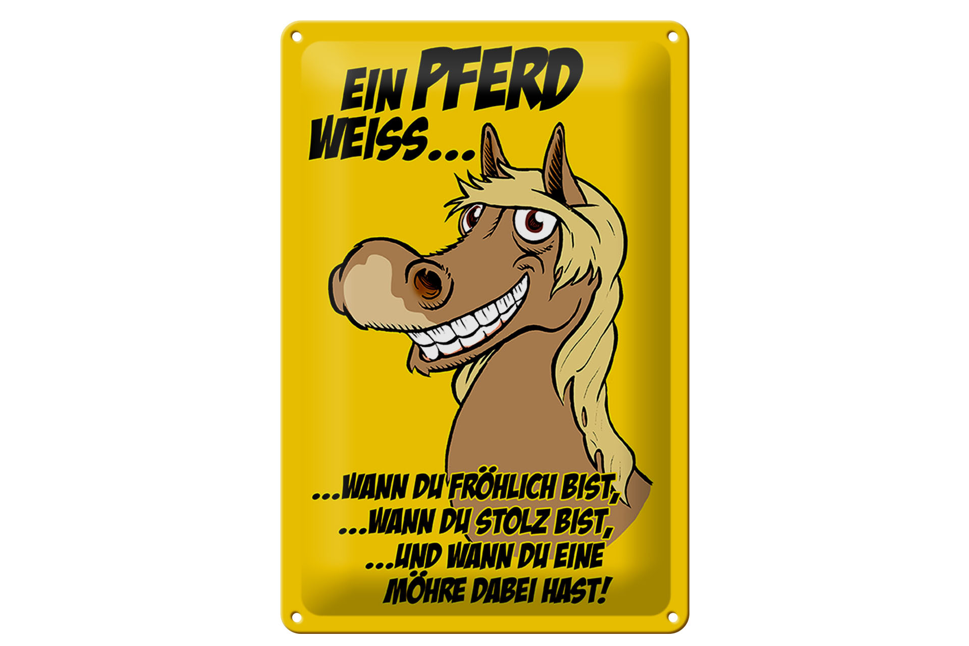 Schild Blech 20x30cm - Made in Germany - Ein Pferd weiss wann fröhlich Metall Deko Schild