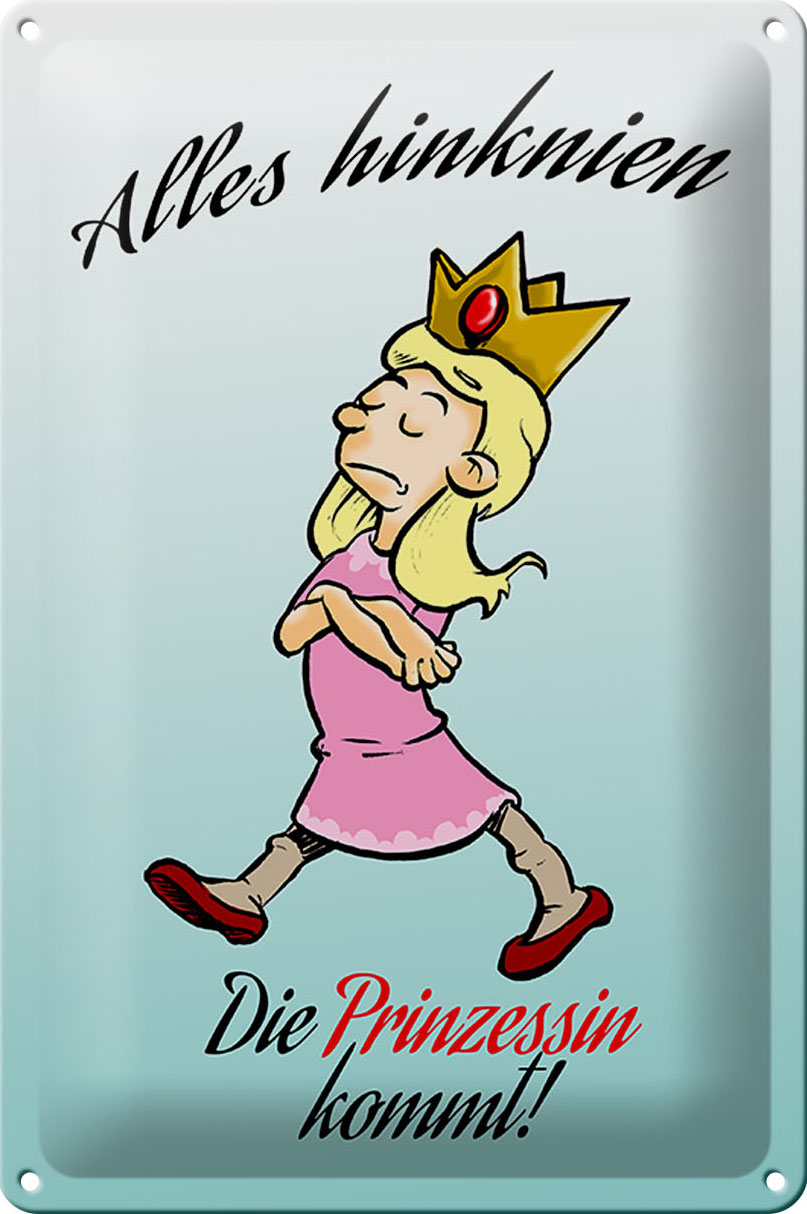 Schild Blech 20x30 cm - Made in Germany - Alles hinknien Prinzessin kommt Metall Deko Schild