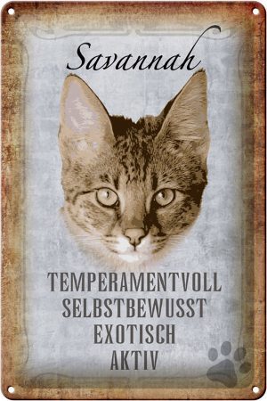 Schild Blech 20x30cm - Made in Germany - Spruch Savannah Katze exotisch Metall Deko Schild