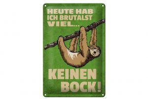 Schild Blech 20x30cm - Made in Germany - Spruch heute habe ich brutalst viel