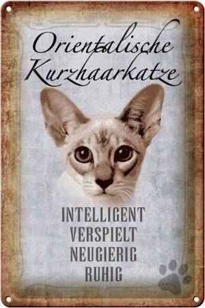 Schild Blech 20x30cm - Made in Germany - Spruch orientalische Kurzhaarkatze Metall Deko Schild