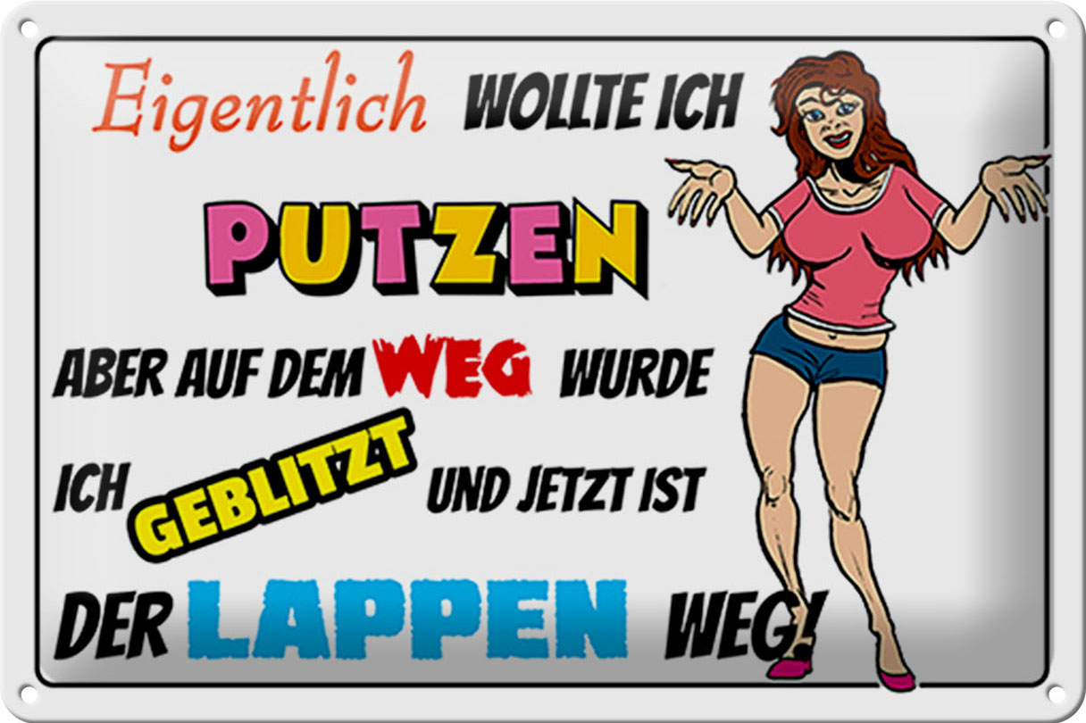 Schild Blech 30x20 cm - Made in Germany - eigentlich wollte ich putzen Metall Deko Schild