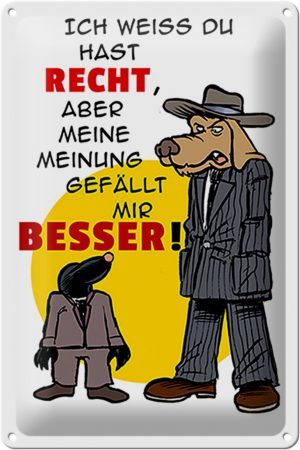 Schild Blech 20x30 cm - Made in Germany - meine Meinung gefällt mir besser Metall Deko Schild