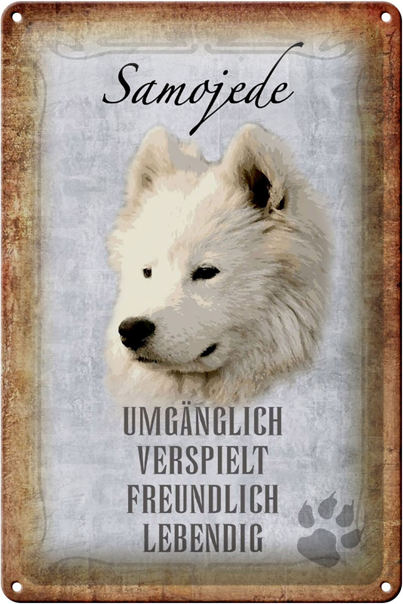 Schild Blech 20x30cm - Made in Germany - Spruch Samojede Hund Metall Deko Blechschild
