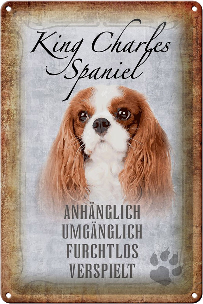 Schild Blech 20x30cm - Made in Germany - Spruch King Charles Spaniel Hund Metall Deko Schild