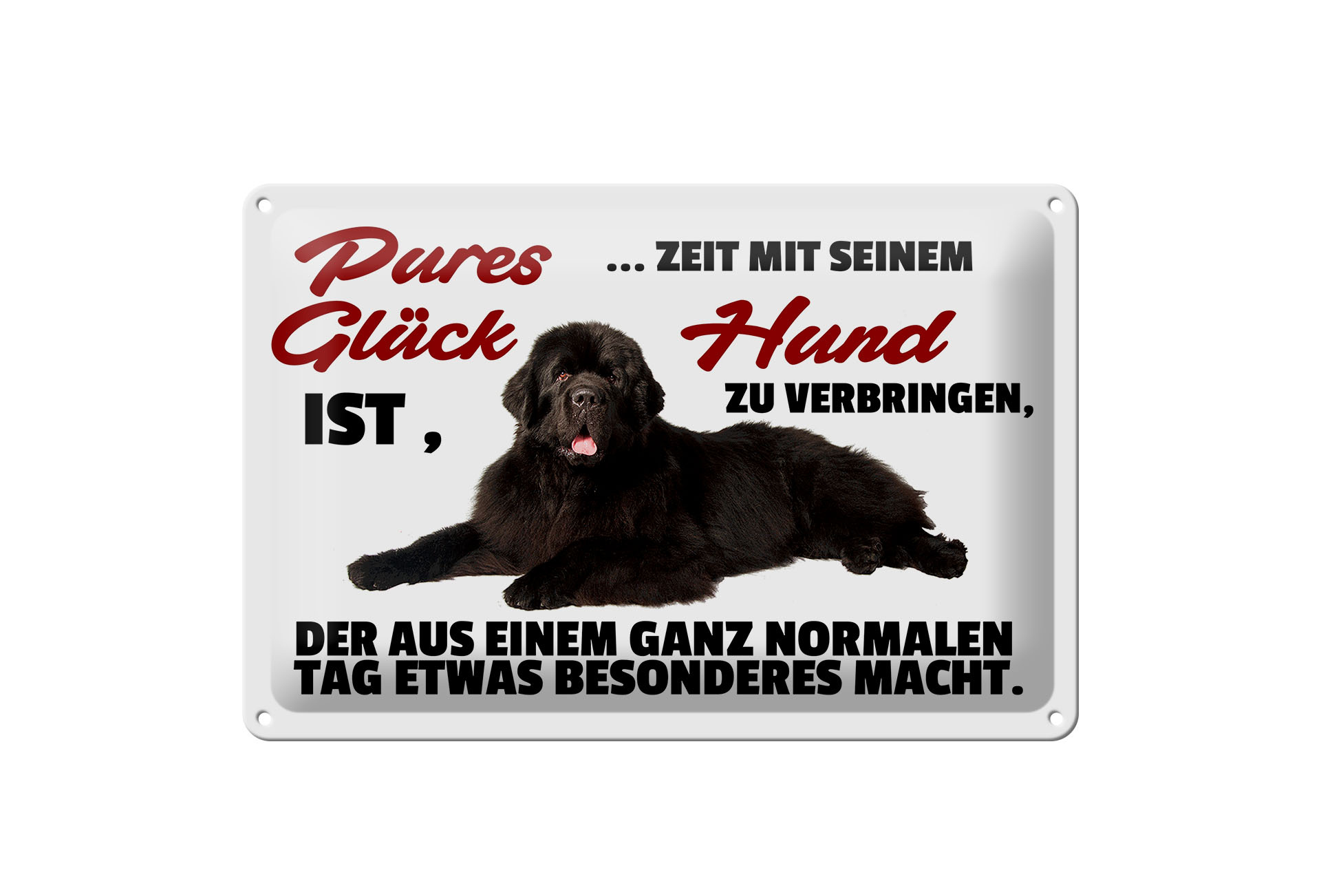 Schild Blech 30x20cm - Made in Germany - Spruch pures Glück ist Zeit mit Hund