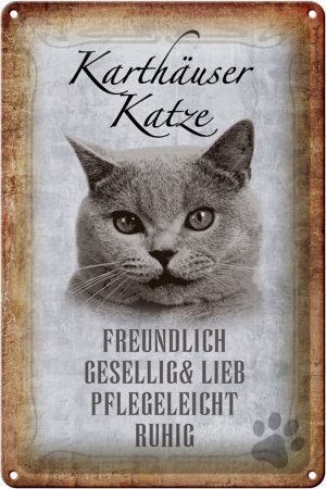 Schild Blech 20x30cm - Made in Germany - Spruch Karthäuser Katze lieb Metall Deko Schild