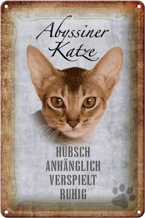Schild Blech 20x30cm - Made in Germany - Spruch Abyssiner Katze hübsch verspielt Metall Deko Schild