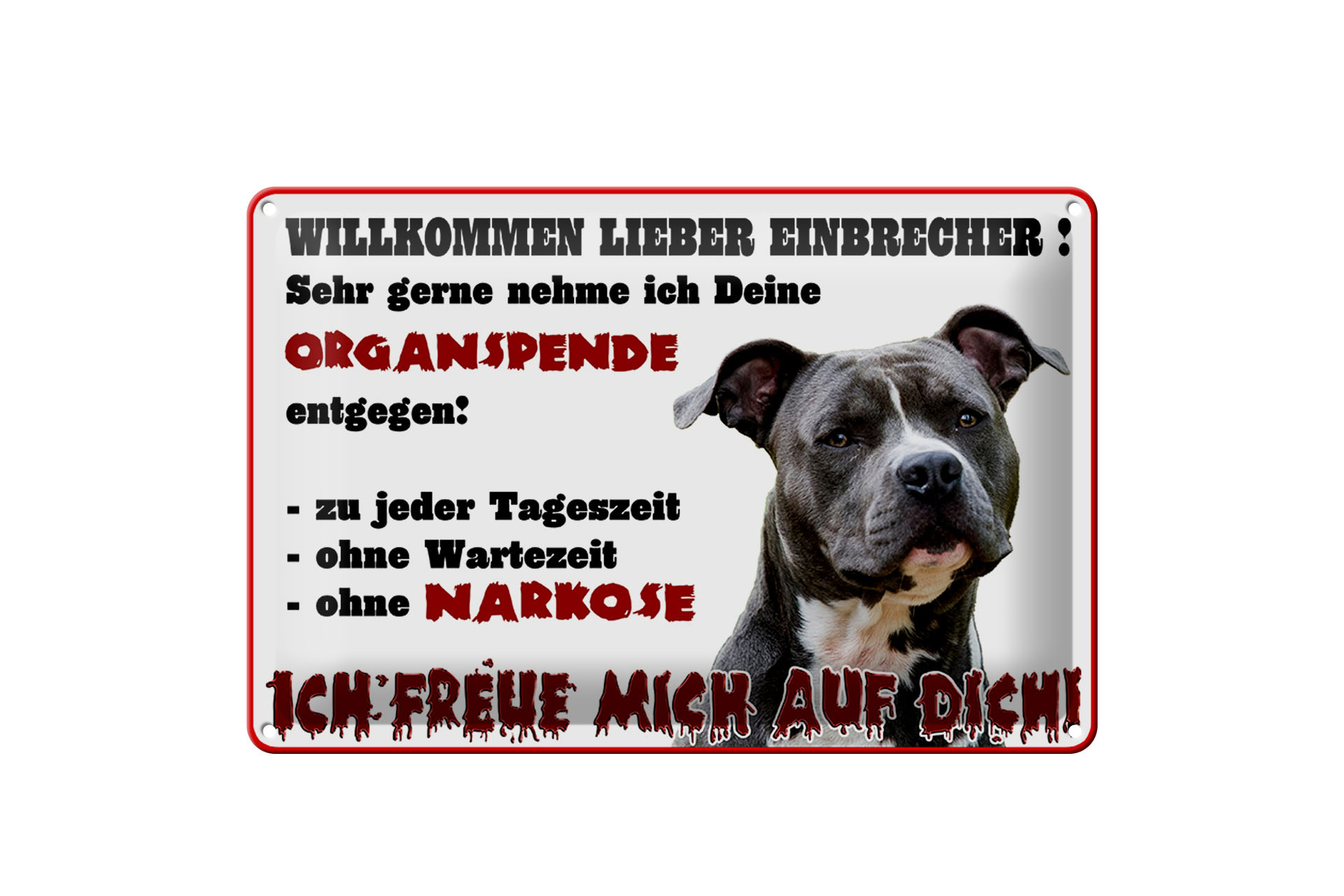Schild Blech 30x20cm - Made in Germany - Warnschild Willkommen lieber Einbrecher