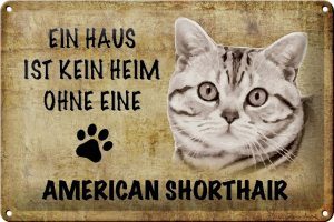 Schild Blech 30x20cm - Made in Germany - Spruch American Shorthair Katze Metall Deko Schild