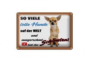 Schild Blech 30x20cm - Made in Germany - Spruch ich hab den schönsten Hund