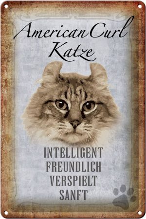 Schild Blech 20x30cm - Made in Germany - Spruch American Curl Katze Metall Deko Schild
