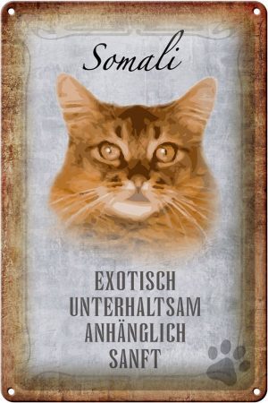 Schild Blech 20x30cm - Made in Germany - Spruch Somali Katze Metall Deko Schild