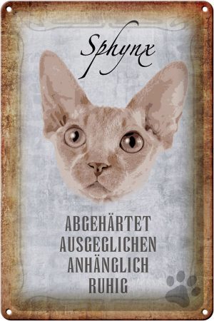 Schild Blech 20x30cm - Made in Germany - Spruch Sphynx Katze Metall Deko Schild