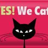 Schild Blech 30x20cm - Made in Germany - Spruch Yes We cat Katze Metall Deko Schild