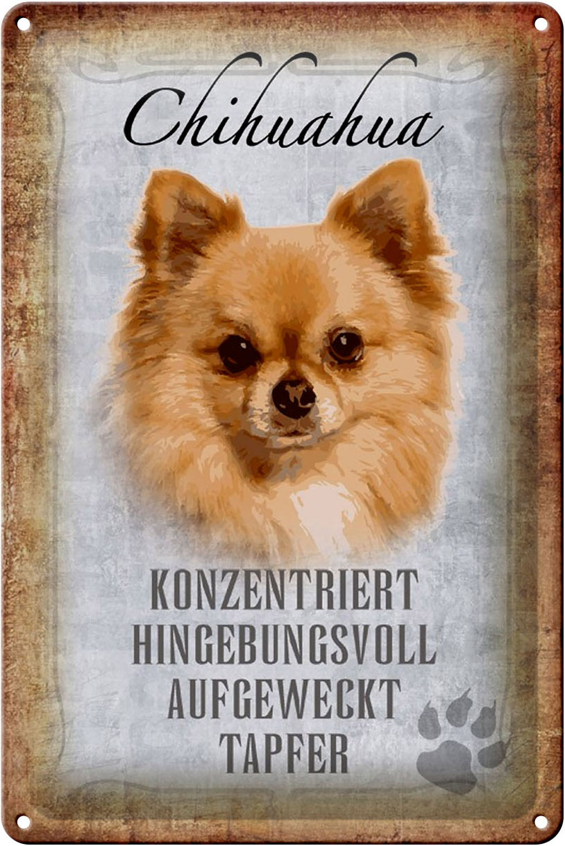 Schild Blech 20x30cm - Made in Germany - Spruch Chihuahua Hund tapfer Metall Deko Schild