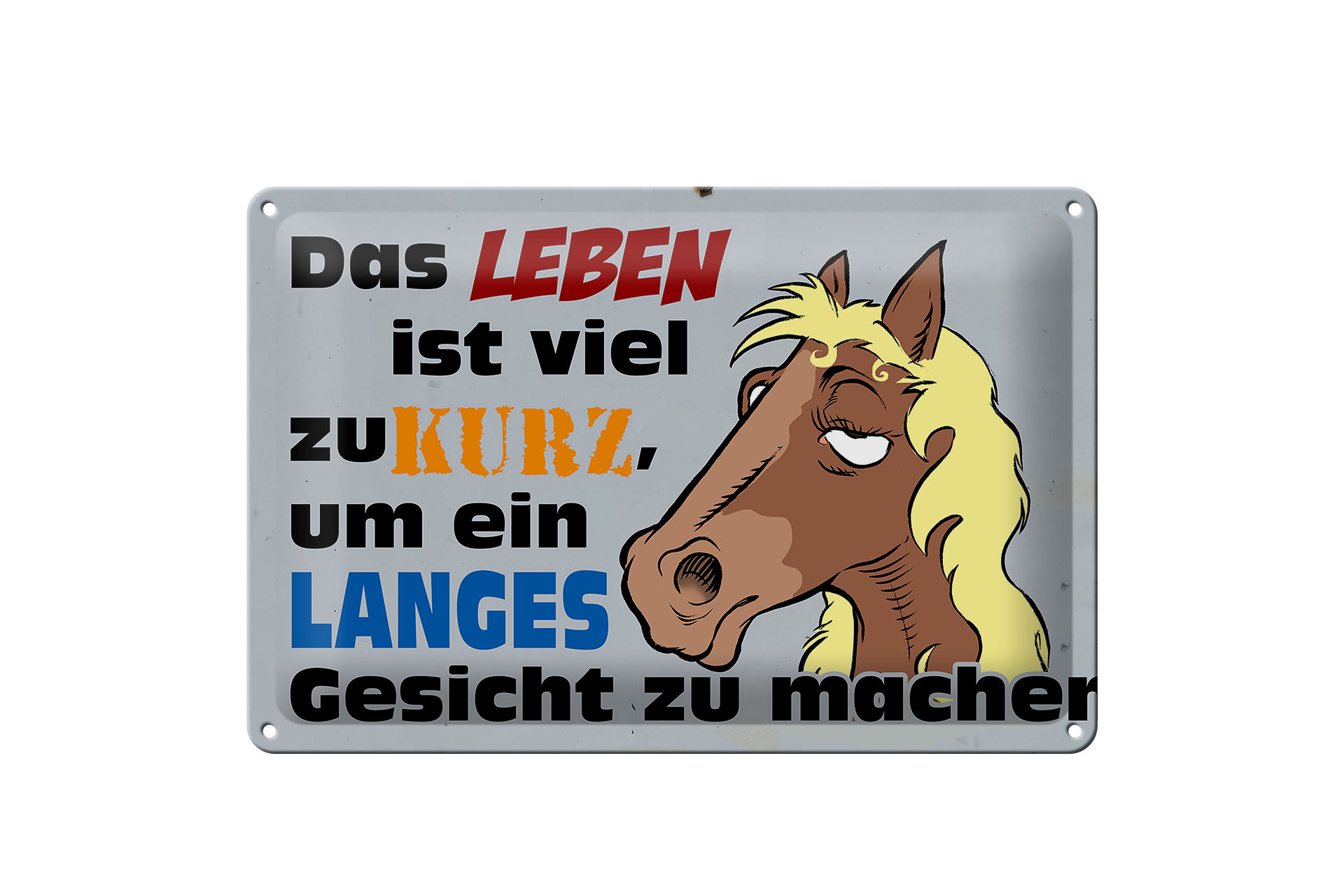 Schild Blech 30x20cm - Made in Germany - Spruch das Leben ist zu kurz um Pferd Metall Deko Schild