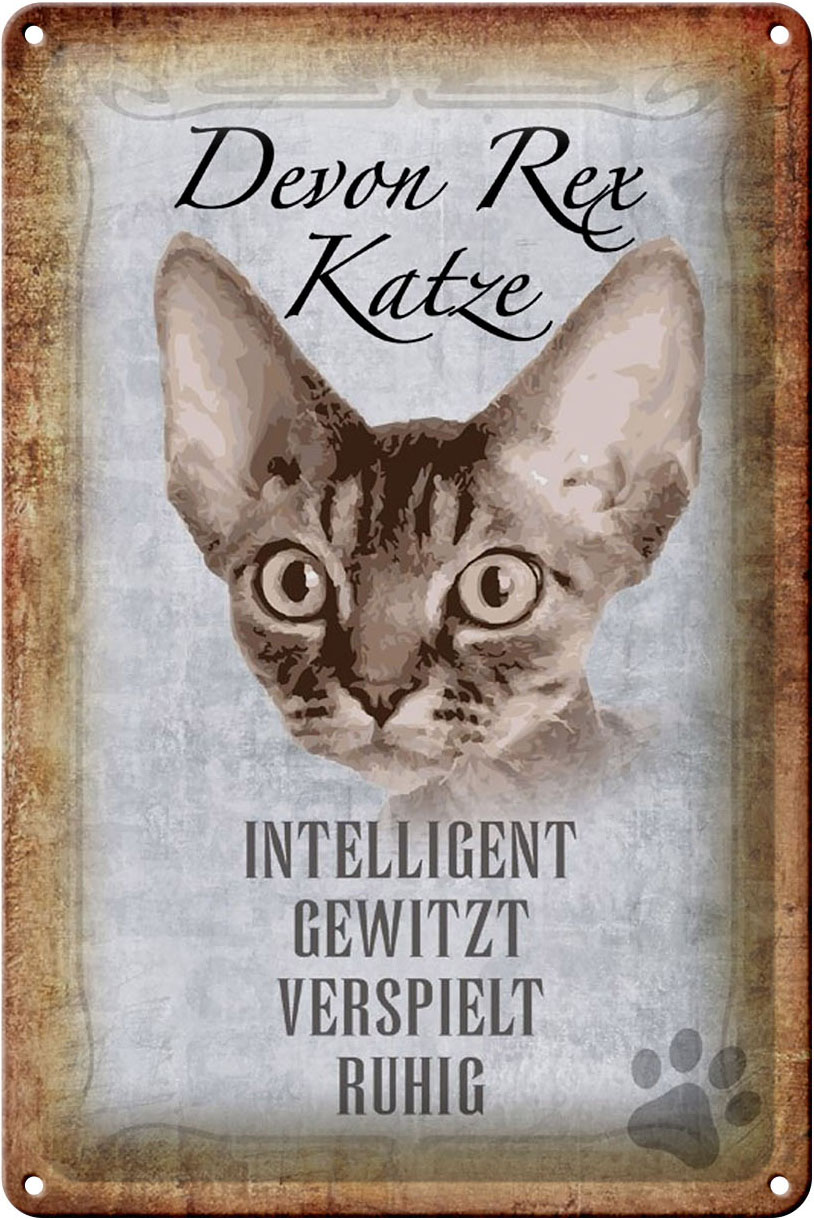Schild Blech 20x30cm - Made in Germany - Spruch Devon Rex Katze intelligent Metall Deko Schild