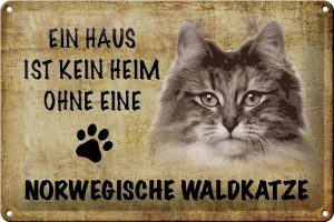Schild Blech 30x20cm - Made in Germany - Spruch Norvegische Waldkatze Katze Metall Deko Schild