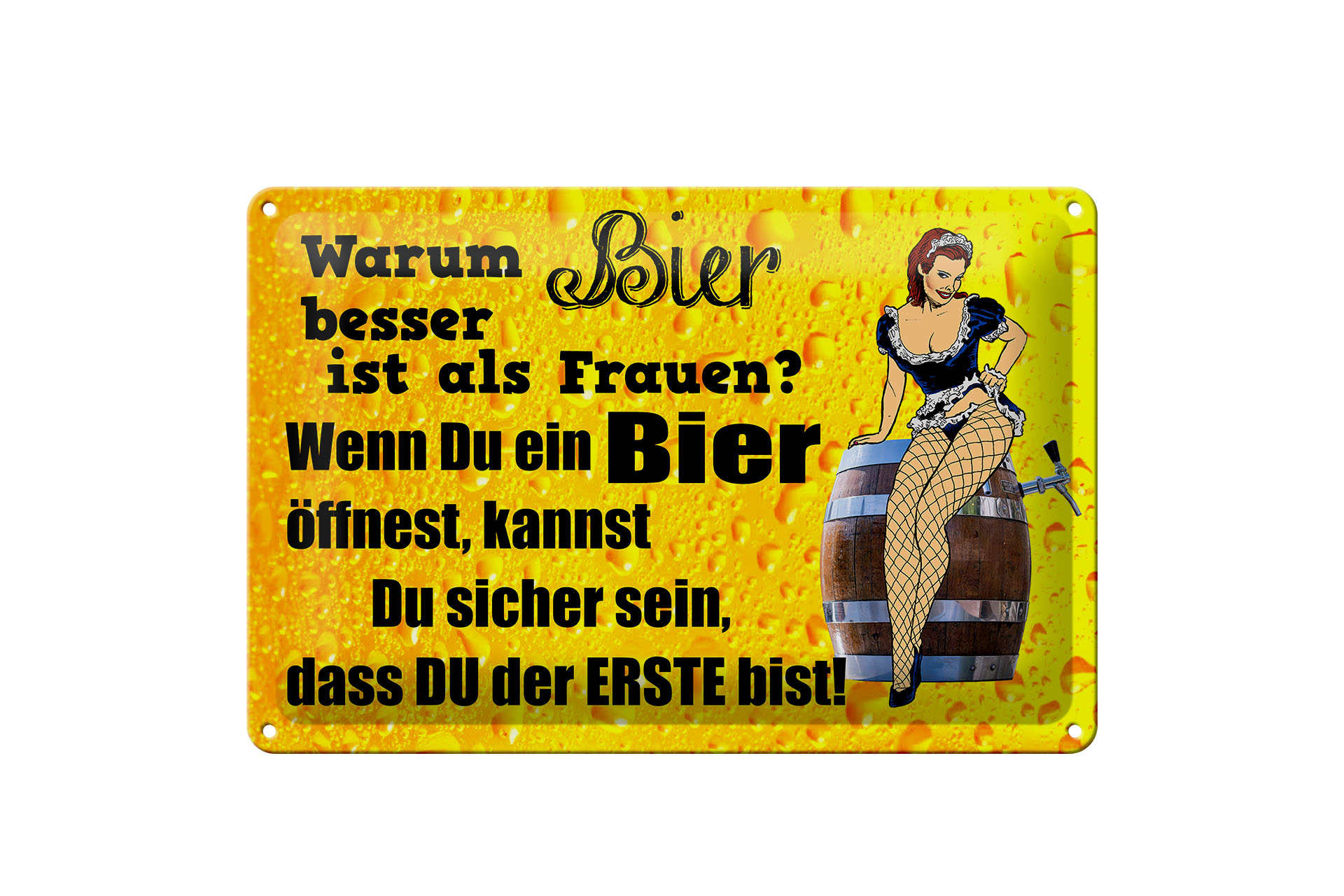 Schild Blech 30x20cm - Made in Germany - Pinup Warum Bier besser ist als Frauen Metall Deko Schild