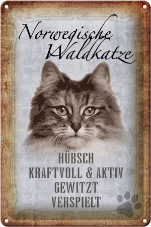 Schild Blech 20x30cm - Made in Germany - Spruch norvegische Waldkatze Katze Metall Deko Schild
