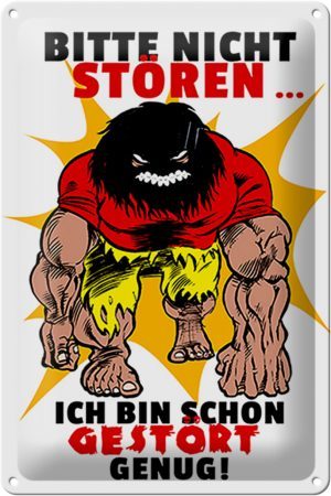 Schild Blech 20x30 cm - Made in Germany - Nicht stören bin gestört genug Metall Deko Schild