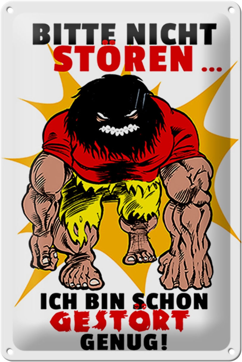 Schild Blech 20x30 cm - Made in Germany - Nicht stören bin gestört genug Metall Deko Schild