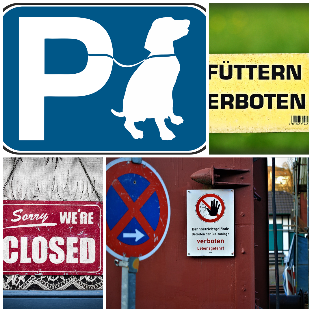 Schild Blech 30x20cm - Made in Germany - Hinweis bitte nicht füttern Tiere werden krank – Bild 4