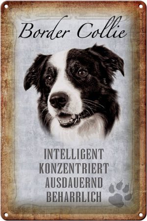 Schild Blech 20x30cm - Made in Germany - Spruch Border Collie Hund Metall Deko Schild