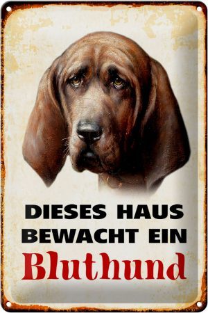 Schild Blech 20x30cm - Made in Germany - Hund dieses Haus bewacht ein Bluthund Metall Deko Blechschild