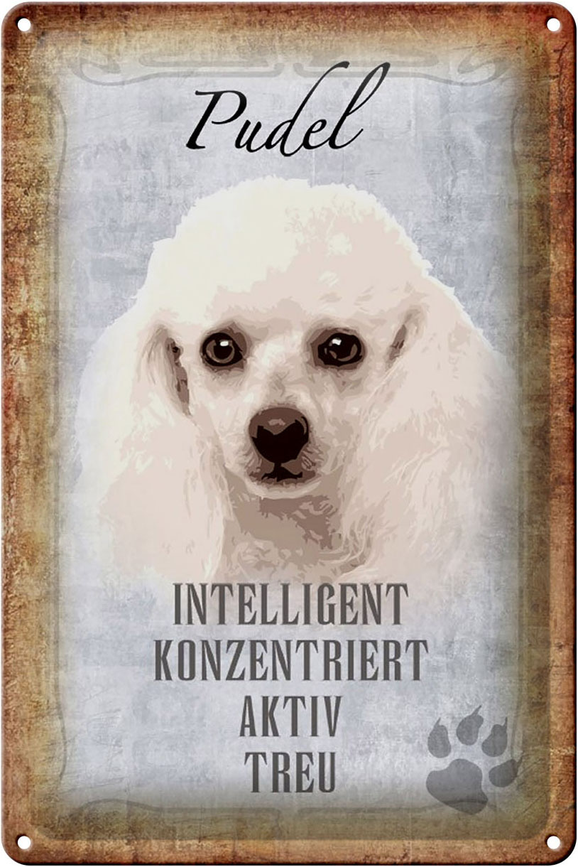 Schild Blech 20x30cm - Made in Germany - Spruch Pudel Hund aktiv Metall Deko Schild
