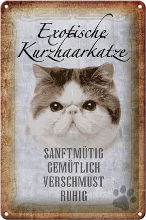 Schild Blech 20x30cm - Made in Germany - Spruch exotische Kurzhaarkatze Katze Metall Deko Schild