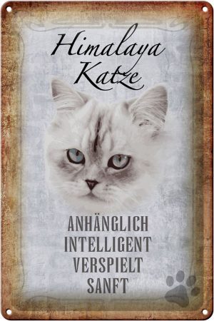 Schild Blech 20x30cm - Made in Germany - Spruch Himalaya Katze sanft Metall Deko Schild
