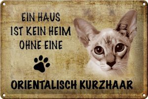 Schild Blech 30x20cm - Made in Germany - Spruch orientalisch Kurzhaar Katze Metall Deko Schild