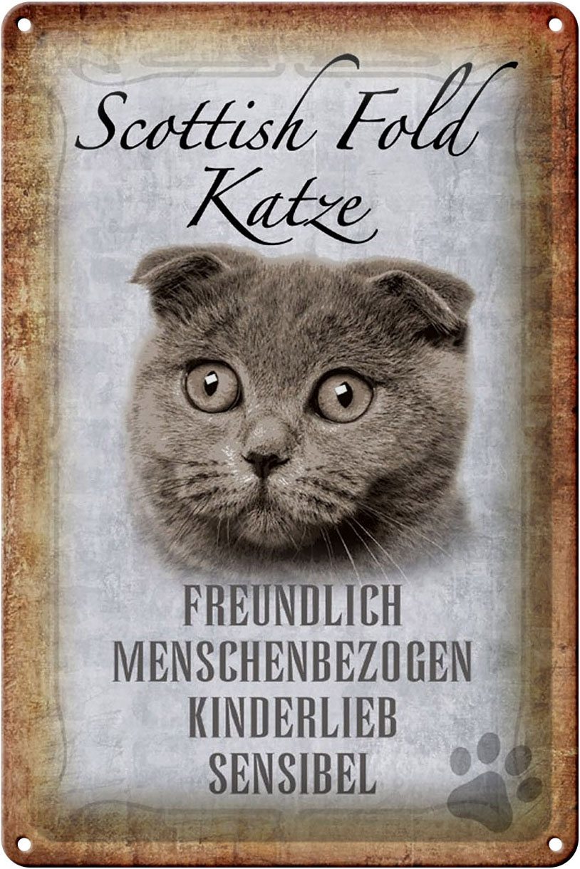 Schild Blech 20x30cm - Made in Germany - Spruch Scottish Fold Katze Metall Deko Schild