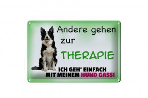Schild Blech 30x20cm - Made in Germany - Spruch ich geh' mit meinem Hund Gassi