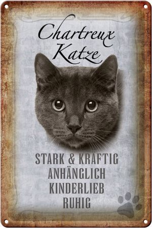 Schild Blech 20x30cm - Made in Germany - Spruch Chartreux Katze stark Metall Deko Schild