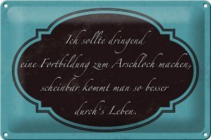 Schild Blech 30x20cm - Made in Germany - Spruch ich Fortbildung zum Arschloch Deko Blechschild
